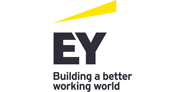 EY Strategy and Consulting Co., Ltd.